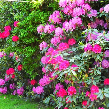 別荘 Von Bargen クックスハーフェン