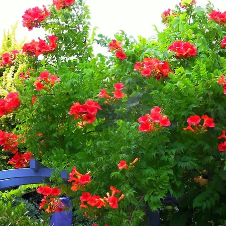 Von Bargen 別荘 クックスハーフェン