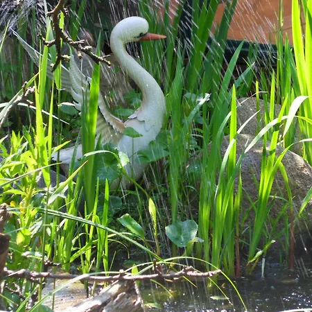 Von Bargen كوكسهافن