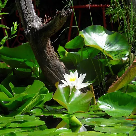 Von Bargen クックスハーフェン